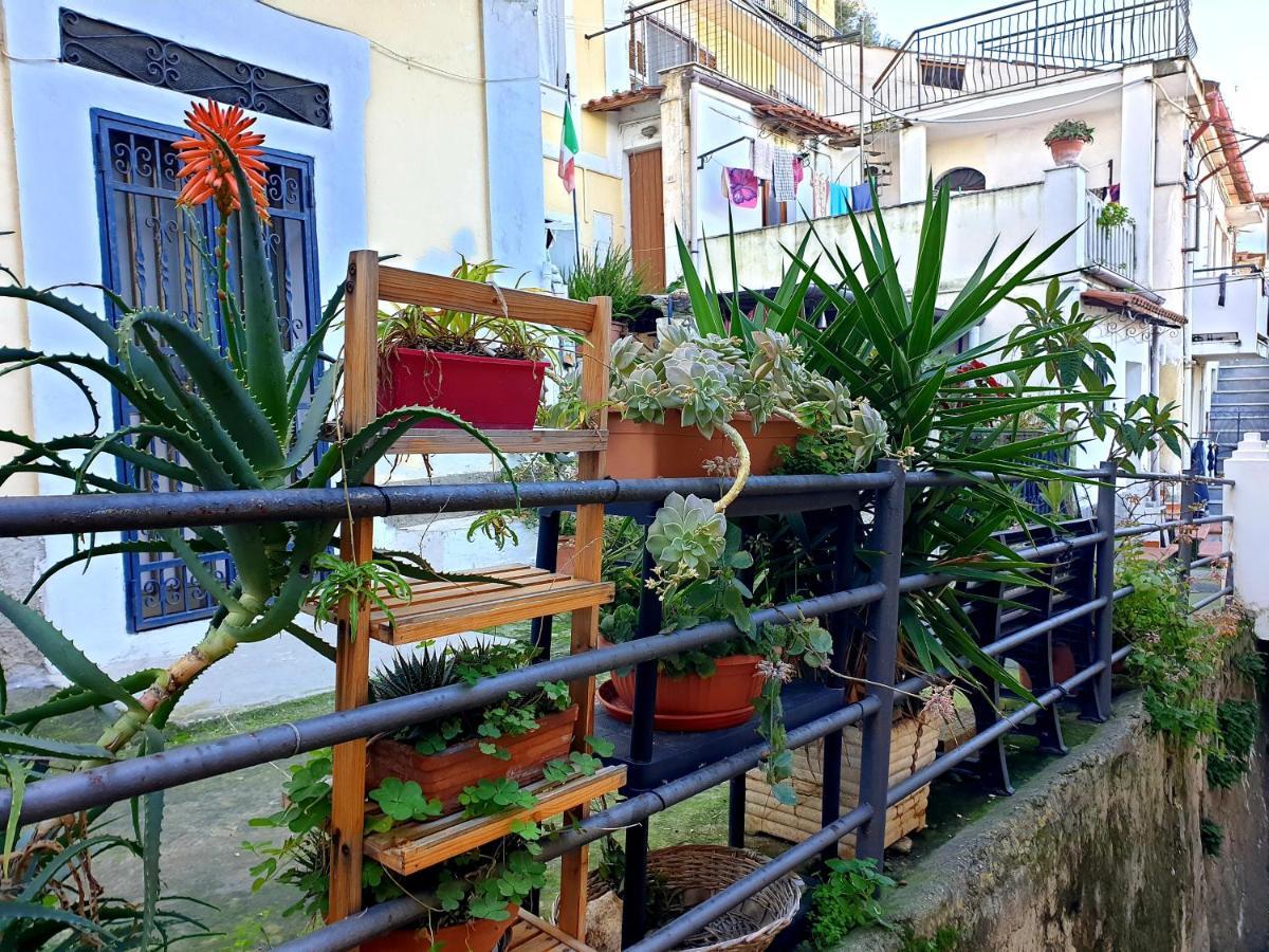 2 Bed Apartment In The Historical Center Pizzo Pizzo  Dış mekan fotoğraf